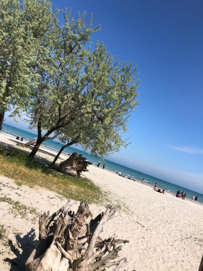 Năvodari North Spa&Pools Alezzibeach מראה חיצוני תמונה